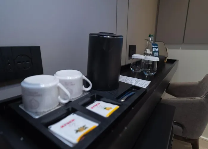 Hotel Central Inn Tirana 酒店 4*